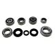 USA Standard Manual Transmission Bearing Kit 2000 Toyota Echo 5-SPD