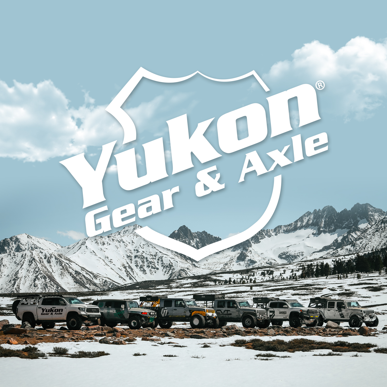 Yukon Bearing install kit for Dana 44 differential for Jaguar 